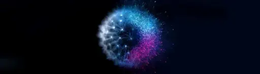 OptiWize: il corso completo